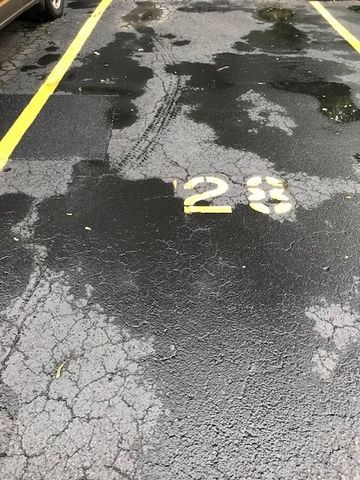 424 Park Avenue 204, River Forest, IL 60305