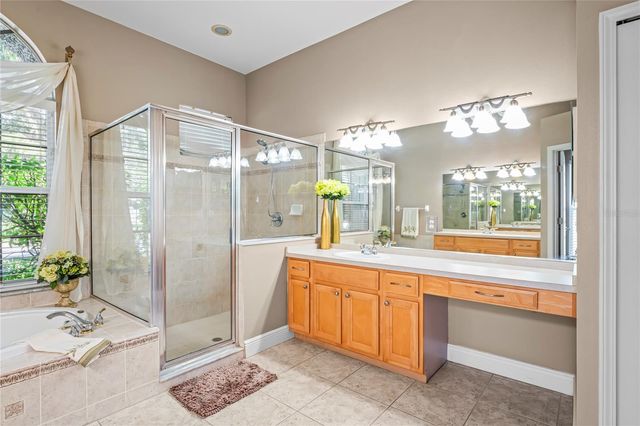 12801 STANWYCK CIRCLE, Tampa, FL 33626