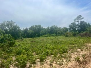 Lot 3 Highway 112, Cassville, MO 65625