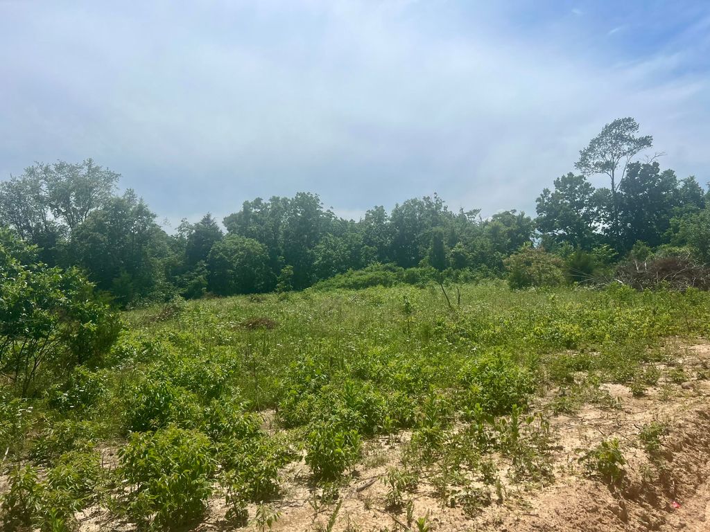 Lot 3 Highway 112, Cassville, MO 65625