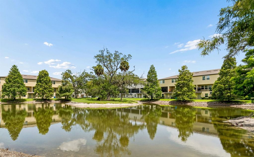 Image 24 of property listing at 4755 TUSCAN LOON DRIVE, Tampa, FL 33619