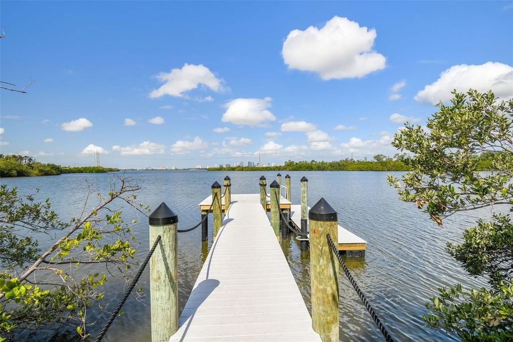 Image 28 of property listing at 4755 TUSCAN LOON DRIVE, Tampa, FL 33619
