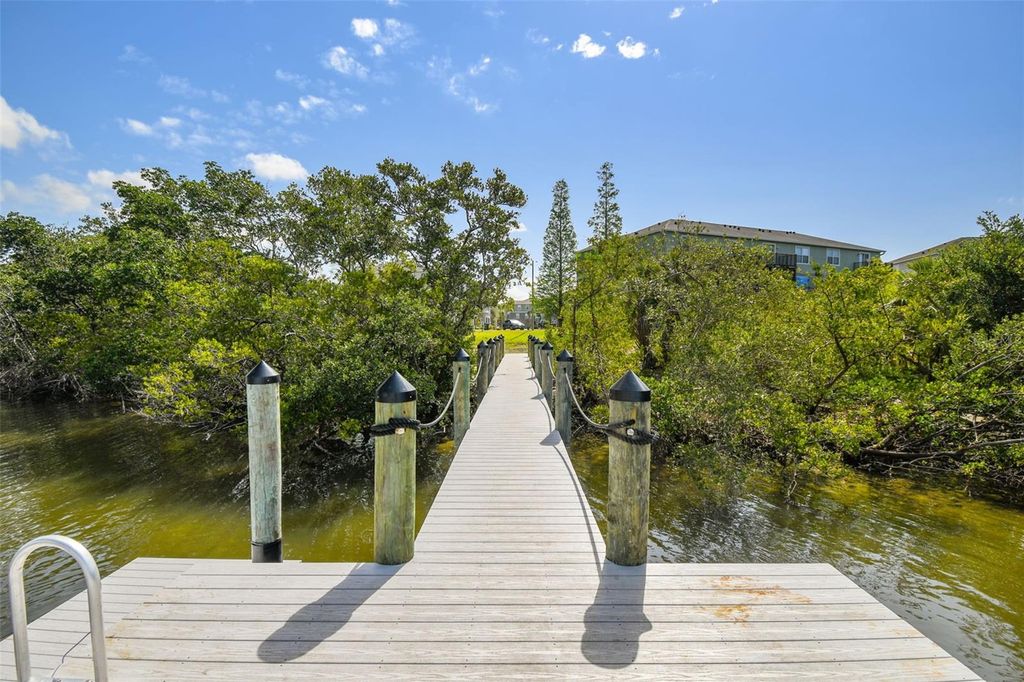 Image 29 of property listing at 4755 TUSCAN LOON DRIVE, Tampa, FL 33619