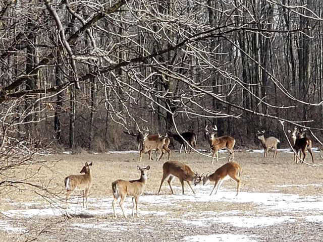 10162 N New Richmond Road, New Richmond, IN 47967