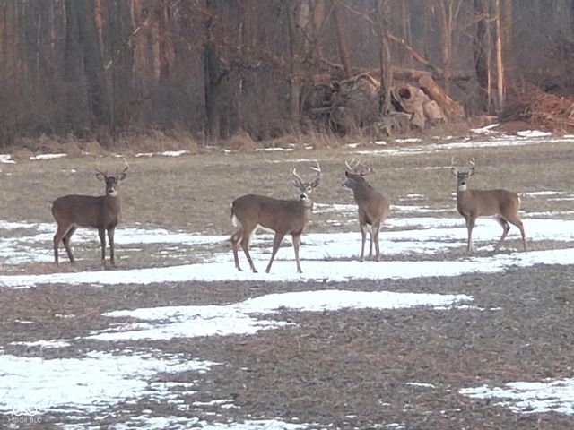 10162 N New Richmond Road, New Richmond, IN 47967