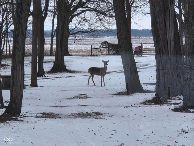 10162 N New Richmond Road, New Richmond, IN 47967