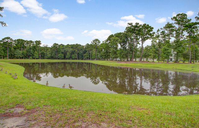 1244 Segar Street, Johns Island, SC 29455