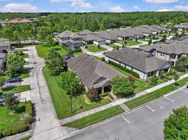 13353 BATTEN LANE, Odessa, FL 33556