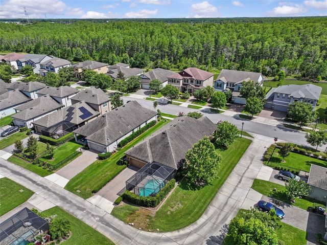 13353 BATTEN LANE, Odessa, FL 33556