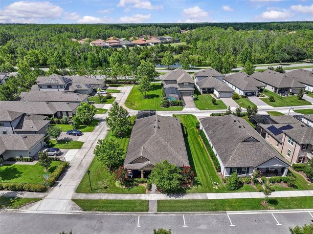 13353 BATTEN LANE, Odessa, FL 33556