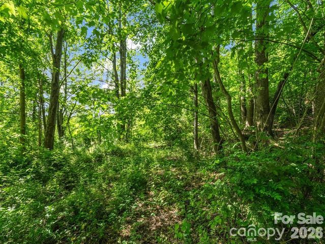 00 Hamilton Acres Drive, Hendersonville, NC 28792