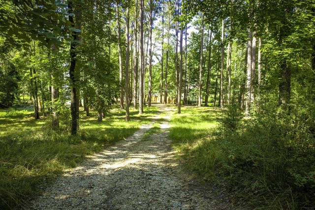 TBD Pine Circle, Trinity, TX 75862