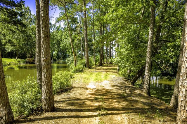 TBD Pine Circle, Trinity, TX 75862