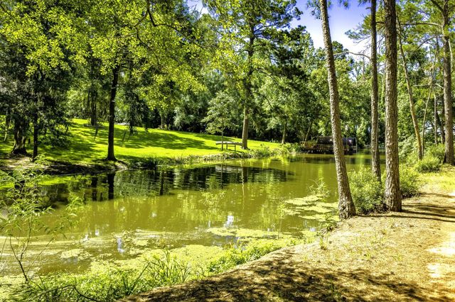 TBD Pine Circle, Trinity, TX 75862