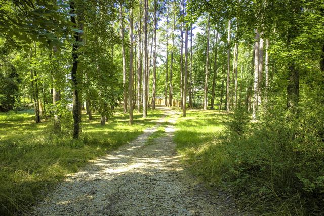 TBD Pine Circle, Trinity, TX 75862