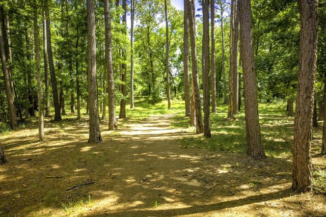 TBD Pine Circle, Trinity, TX 75862