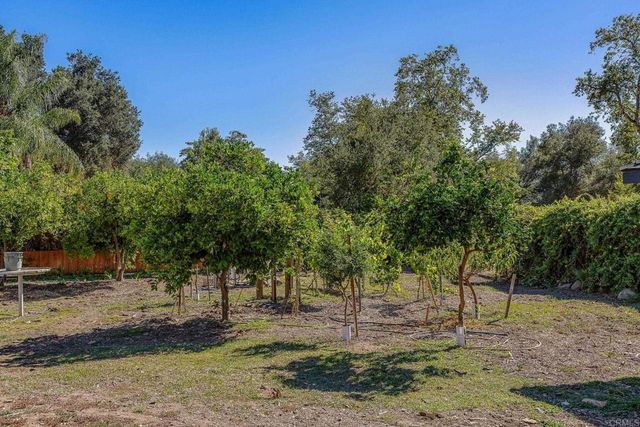 16338 Swartz Canyon Road, Ramona, CA 92065
