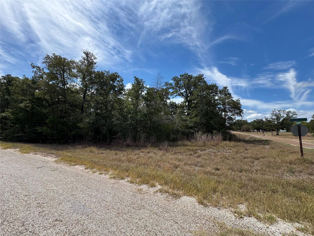 TBD Water Oak St, Somerville, TX 77879