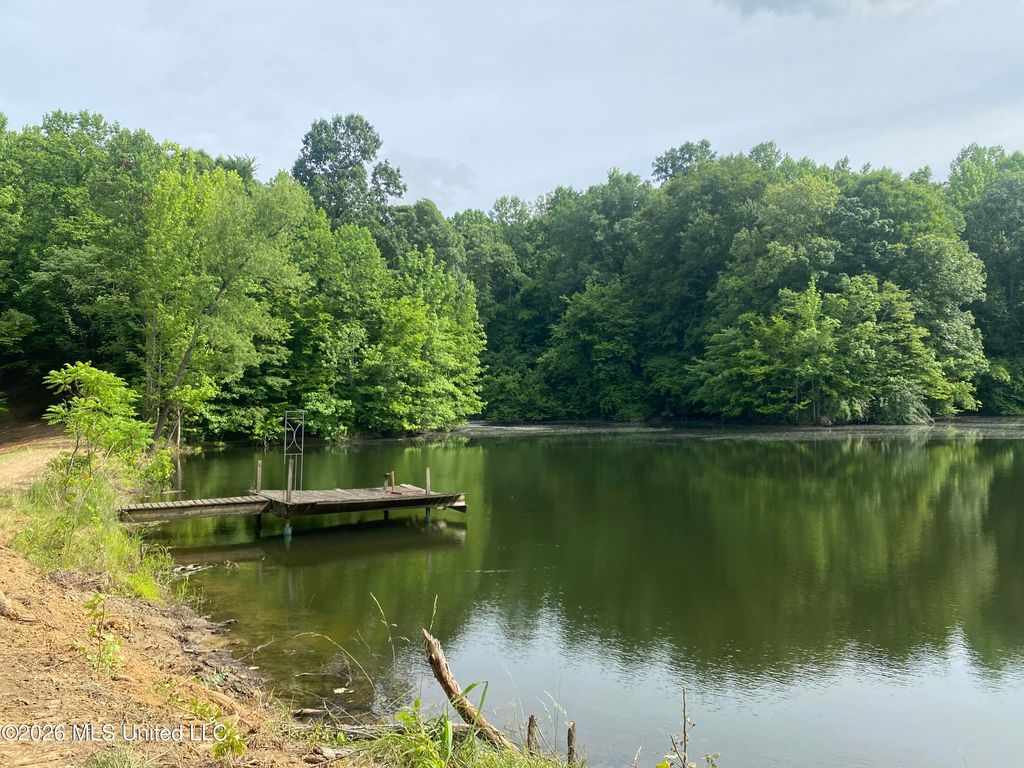 5317 Highway 3, Sarah, MS 38665 — photo 2