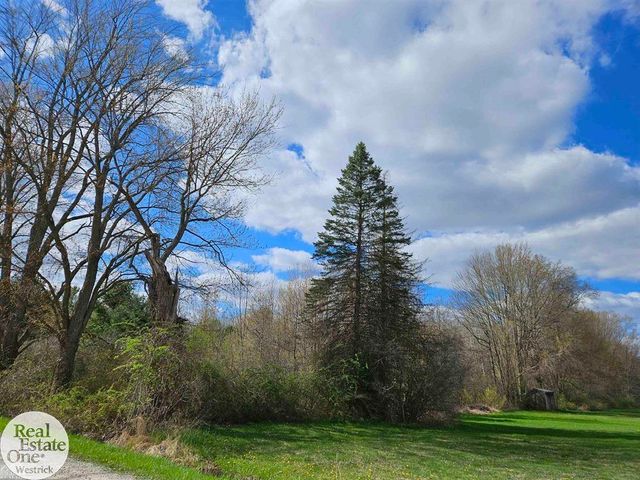0 Genaw Road, Cottrellville, MI 48039