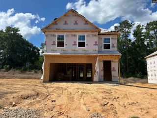 554 Griffon Drive, Chapin, SC 29036