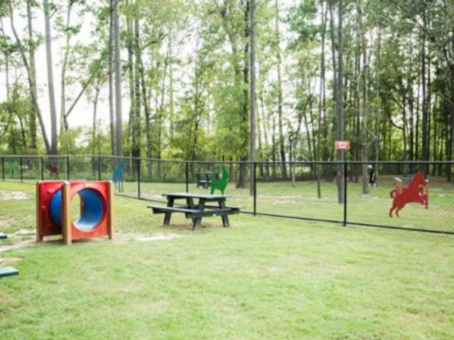 108 Salvia Star Court, Conroe, TX 77304