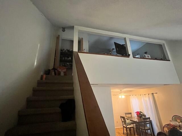 2910 15th Avenue, Chattanooga, TN 37407