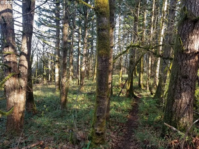 2655 Nw Foothill Dr, Corvallis, OR 97330