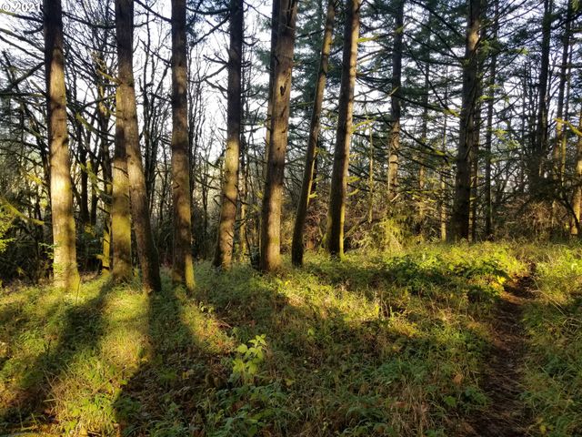 2655 Nw Foothill Dr, Corvallis, OR 97330