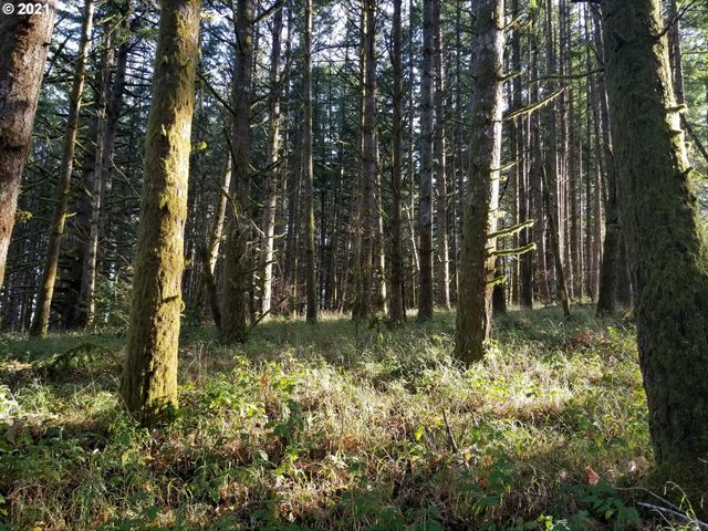 2655 Nw Foothill Dr, Corvallis, OR 97330