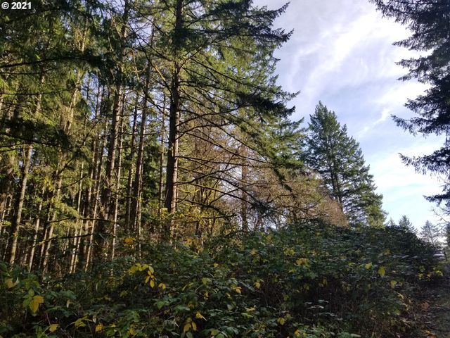 2655 Nw Foothill Dr, Corvallis, OR 97330