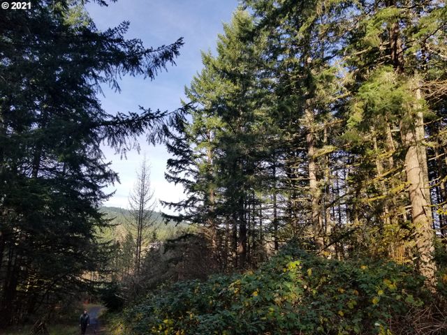 2655 Nw Foothill Dr, Corvallis, OR 97330