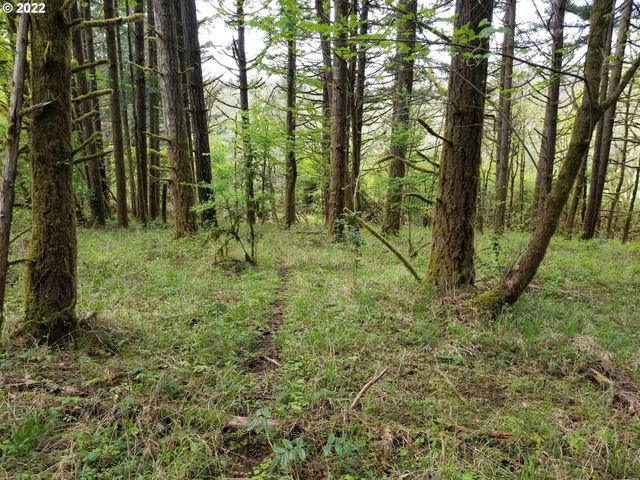 2655 Nw Foothill Dr, Corvallis, OR 97330