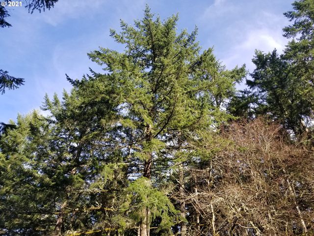 2655 Nw Foothill Dr, Corvallis, OR 97330