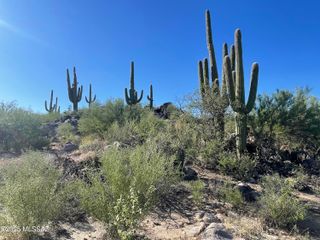1364 W Tortolita Mountain Circle # 313, Oro Valley, AZ 85755