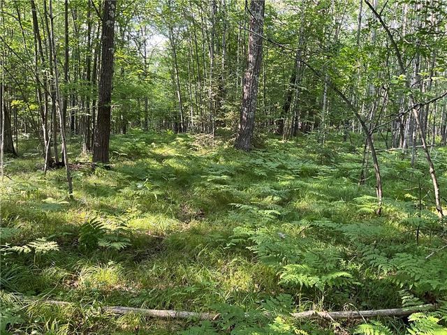 Lot 3 Falcon Ridge, Hayward, WI 54843