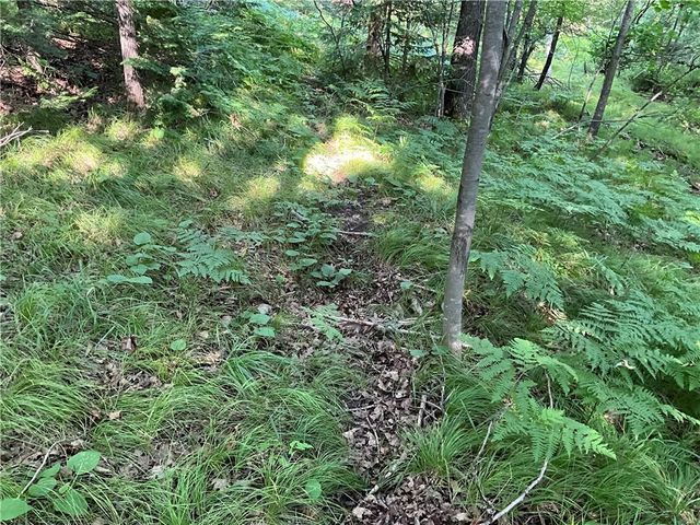 Lot 3 Falcon Ridge, Hayward, WI 54843