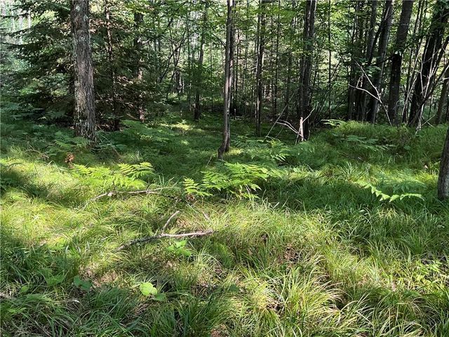 Lot 3 Falcon Ridge, Hayward, WI 54843