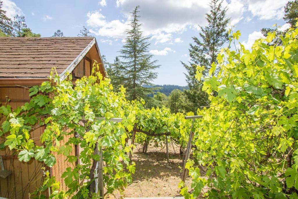 Image 36 of property listing at 23059 Evergreen Lane, Los Gatos, CA 95033