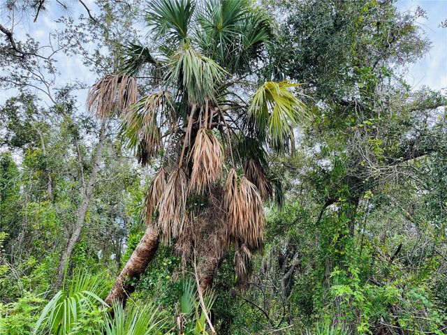 26145 FLOWER ROAD, Punta Gorda, FL 33955