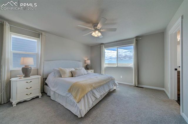 9613 Jack Helm Drive, Colorado Springs, CO 80908