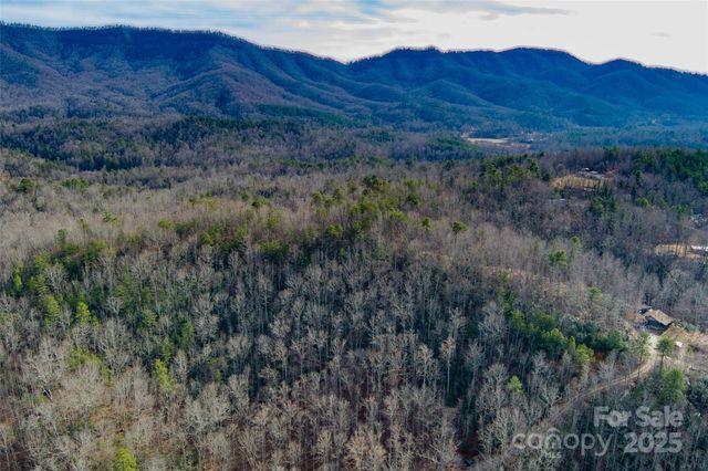 00 Jarrell Loop, Old Fort, NC 28762