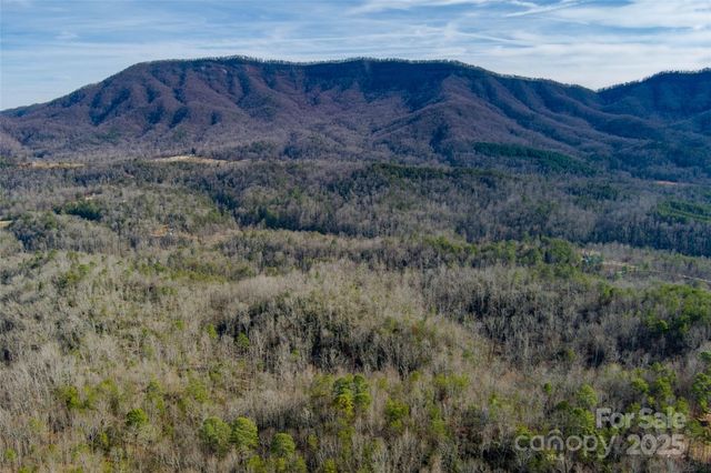 00 Jarrell Loop, Old Fort, NC 28762