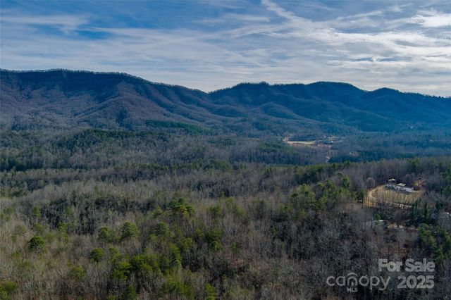 00 Jarrell Loop, Old Fort, NC 28762