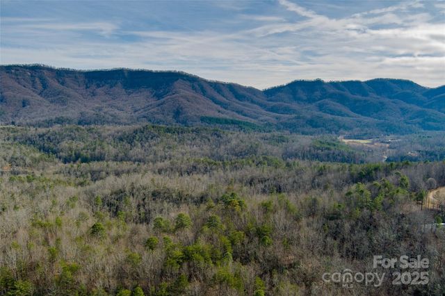 00 Jarrell Loop, Old Fort, NC 28762