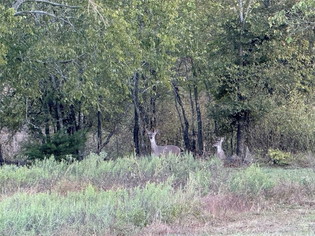 915 Old stephenville road, Hico, TX 76457