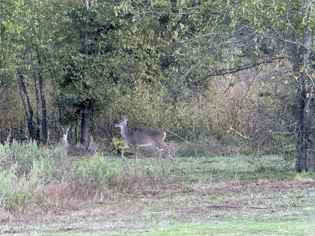 915 Old stephenville road, Hico, TX 76457