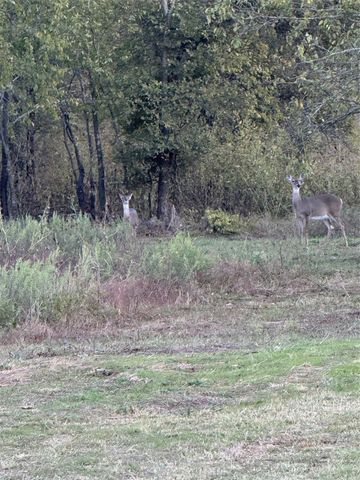 915 Old stephenville road, Hico, TX 76457