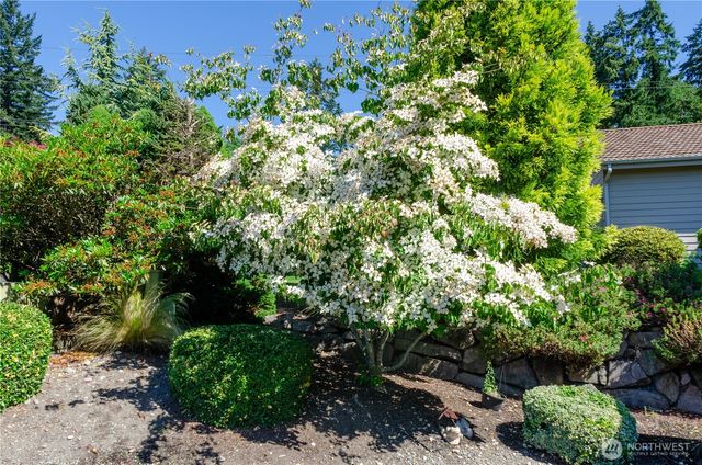 7411 71st Avenue Ct SW, Lakewood, WA 98498
