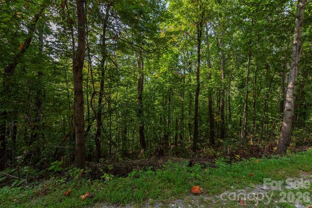 99999 Gateway Parkway, Old Fort, NC 28762